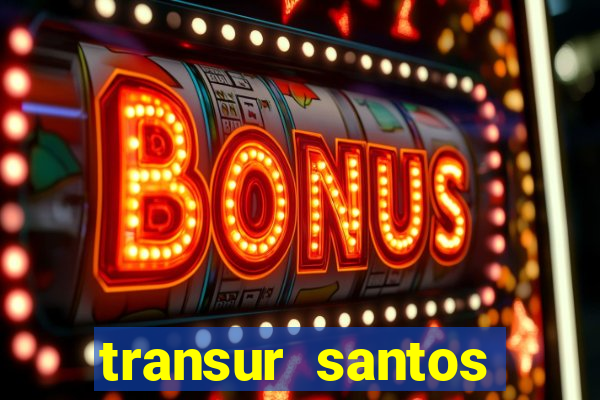 transur santos dumont x juiz de fora 2024